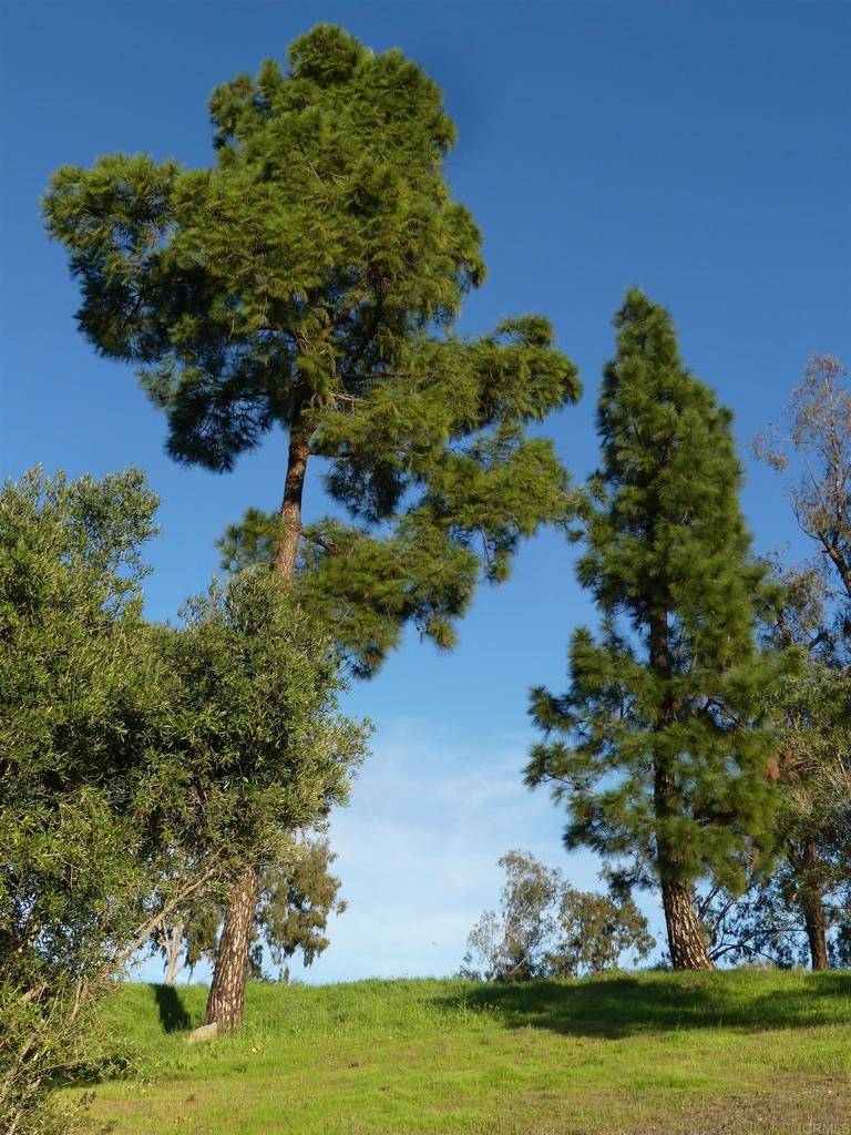 725 Yucca Road Property Photo 45