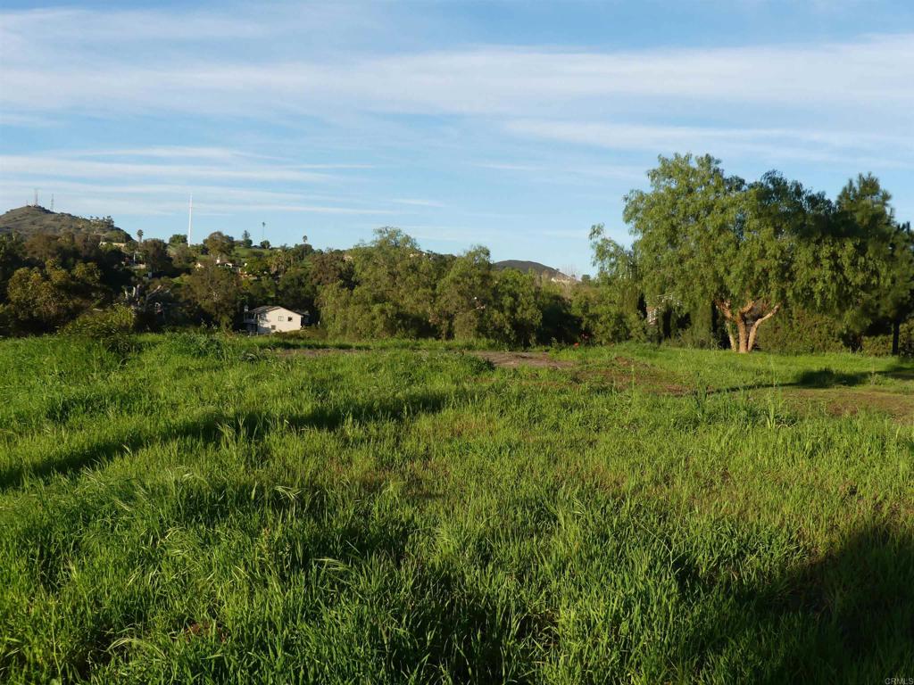 725 Yucca Road Property Photo 46