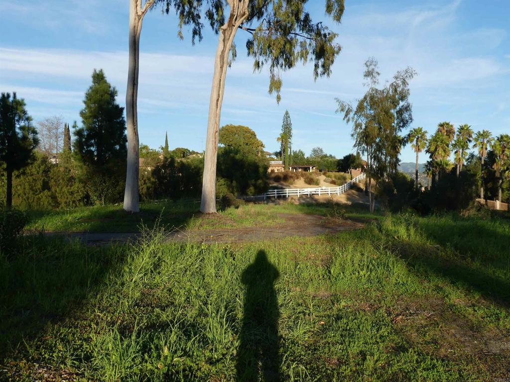725 Yucca Road Property Photo 48
