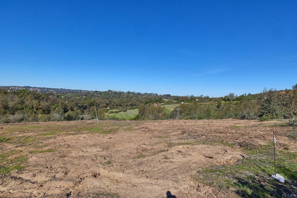 16331 Rambla De Las Flores Property Photo 3