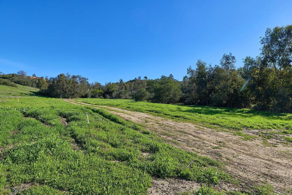 16331 Rambla De Las Flores Property Photo 5