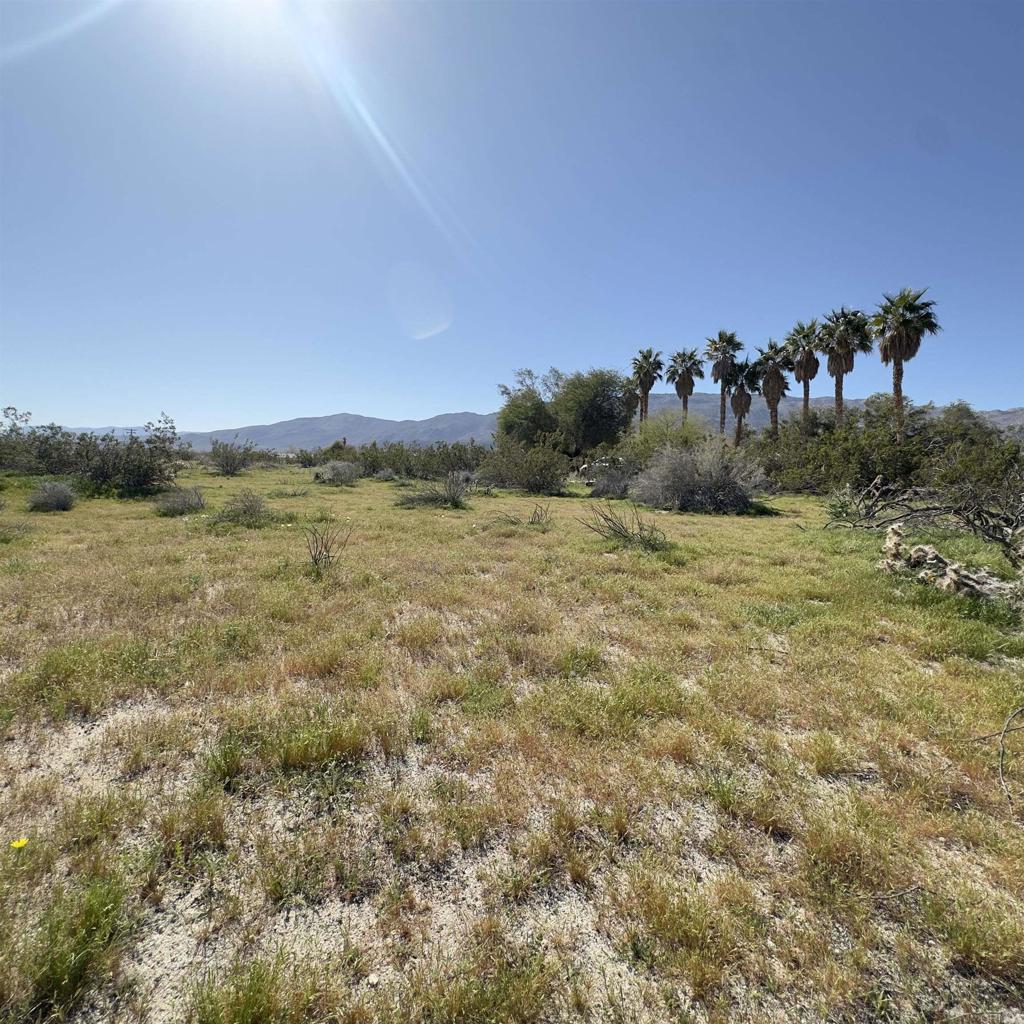 East Star Road Property Photo 5