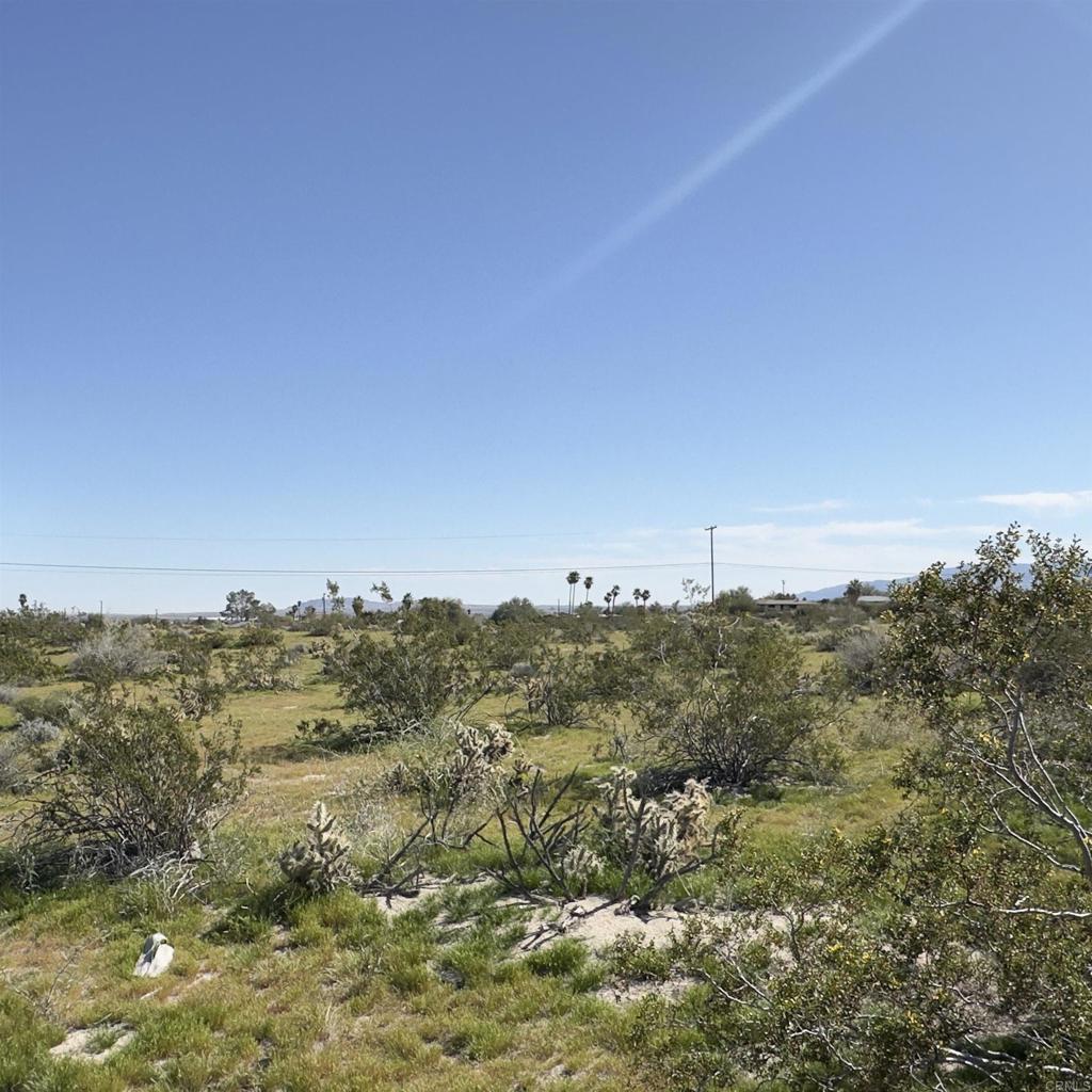 East Star Road Property Photo 6