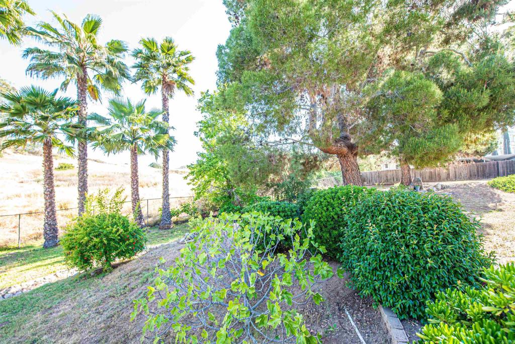 2432 Live Oak Road Property Photo 57
