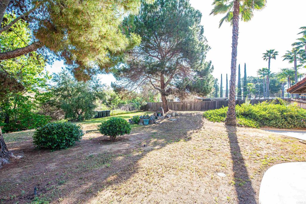 2432 Live Oak Road Property Photo 59