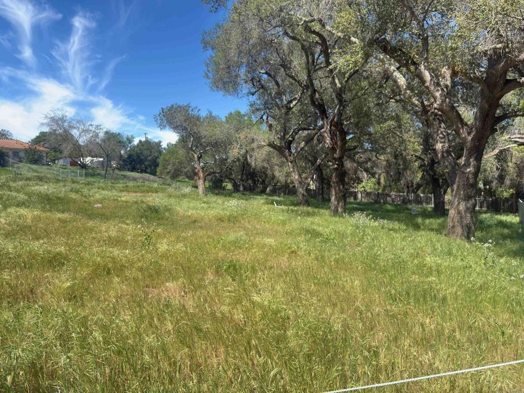 0 Highway 67 Property Photo 2