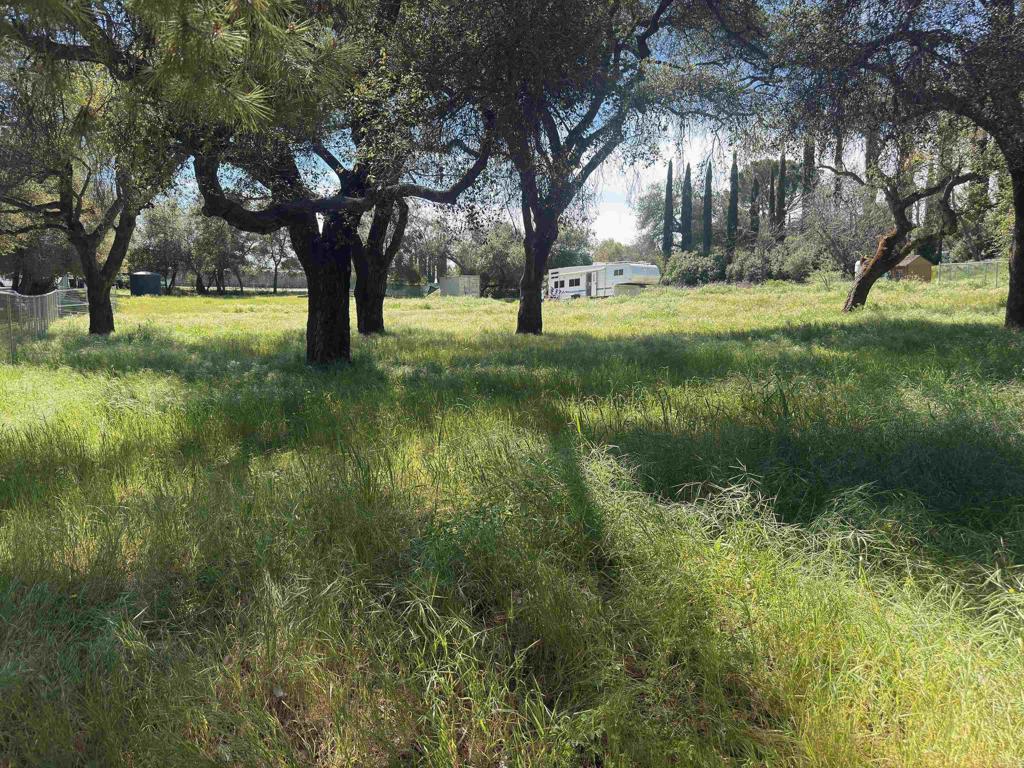 0 Highway 67 Property Photo 3
