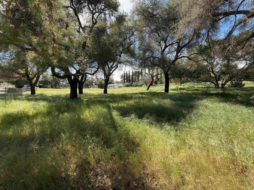 0 Highway 67 Property Photo 4