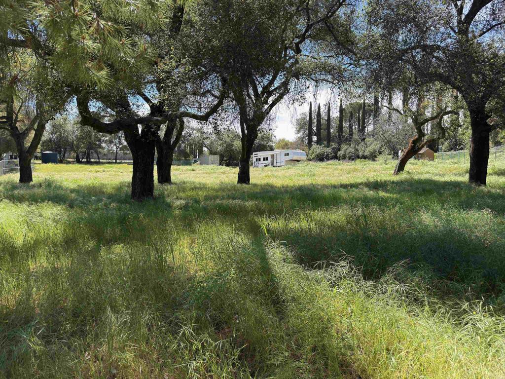 0 Highway 67 Property Photo 5