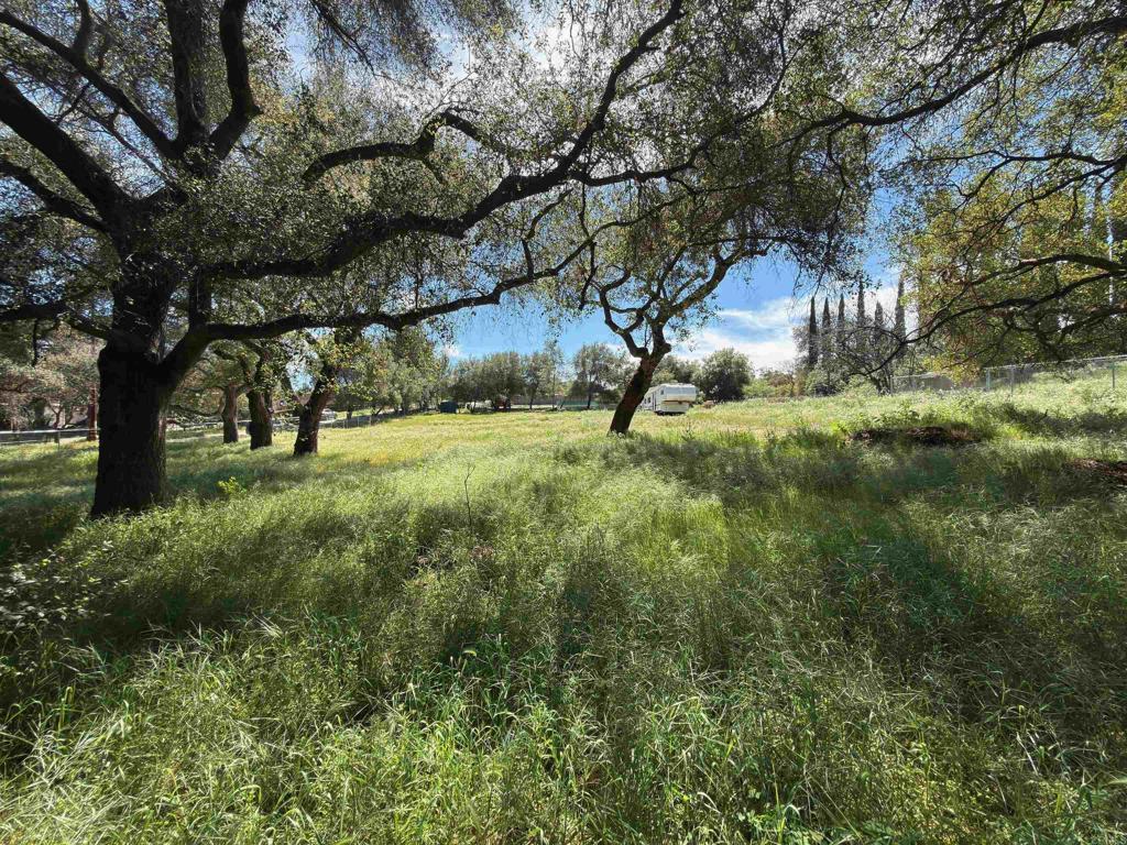 0 Highway 67 Property Photo 7