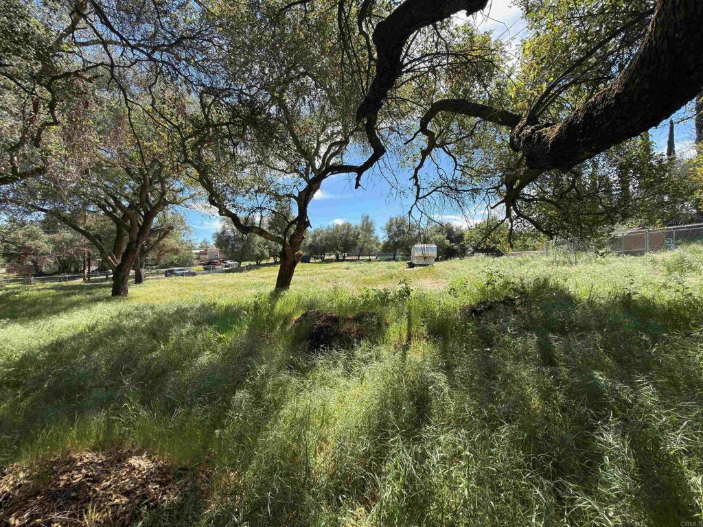 0 Highway 67 Property Photo 8