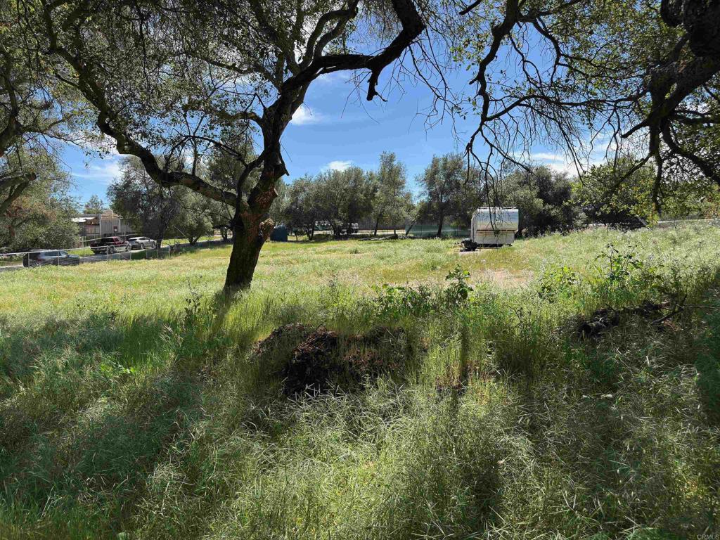 0 Highway 67 Property Photo 9