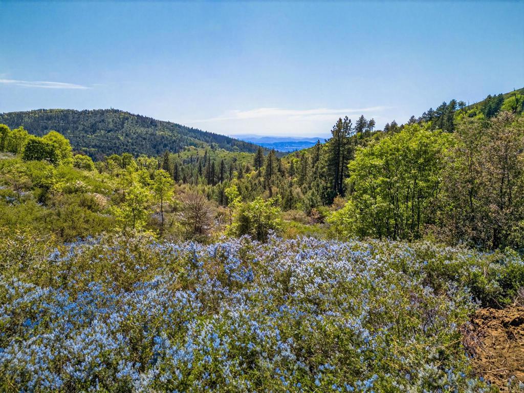 200 +/- Acres Palomar Divide Truck Trail Property Photo 1