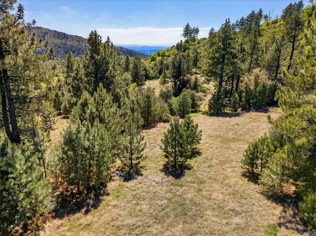 200 +/- Acres Palomar Divide Truck Trail Property Photo 6