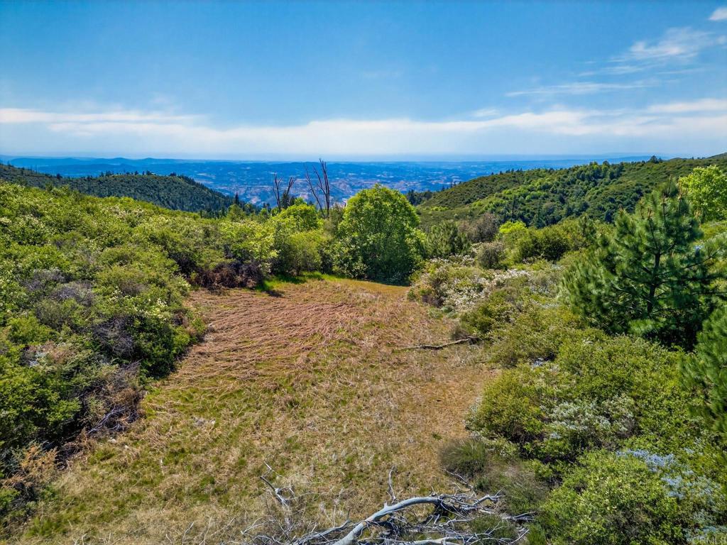 200 +/- Acres Palomar Divide Truck Trail Property Photo 8