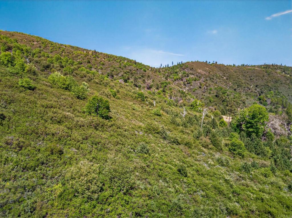 200 +/- Acres Palomar Divide Truck Trail Property Photo 9