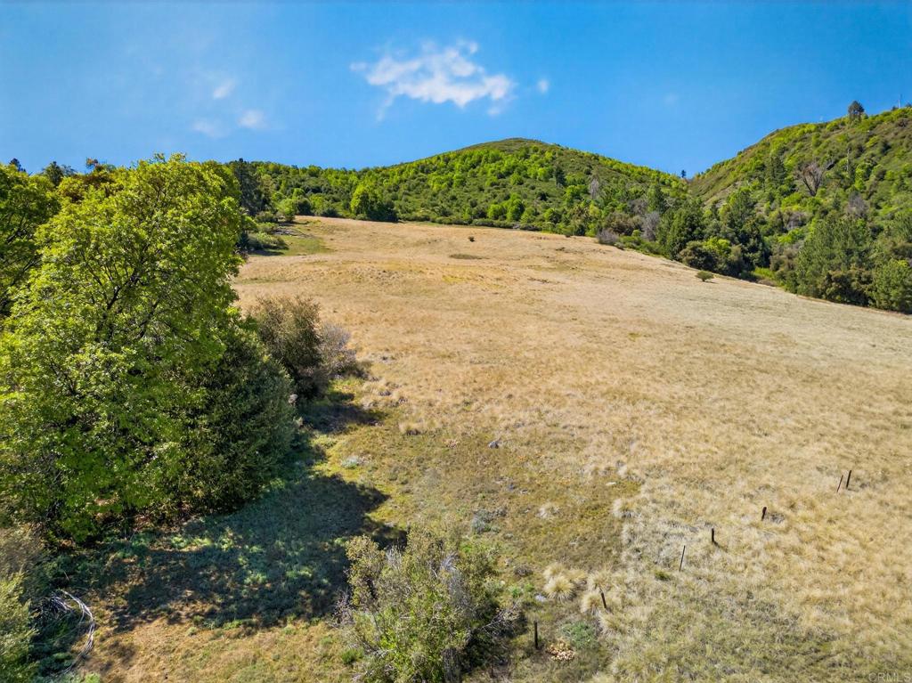 200 +/- Acres Palomar Divide Truck Trail Property Photo 13