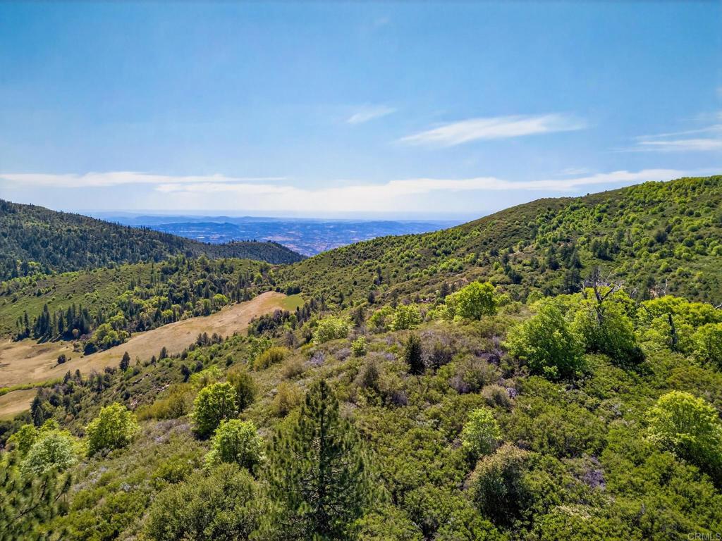 200 +/- Acres Palomar Divide Truck Trail Property Photo 16