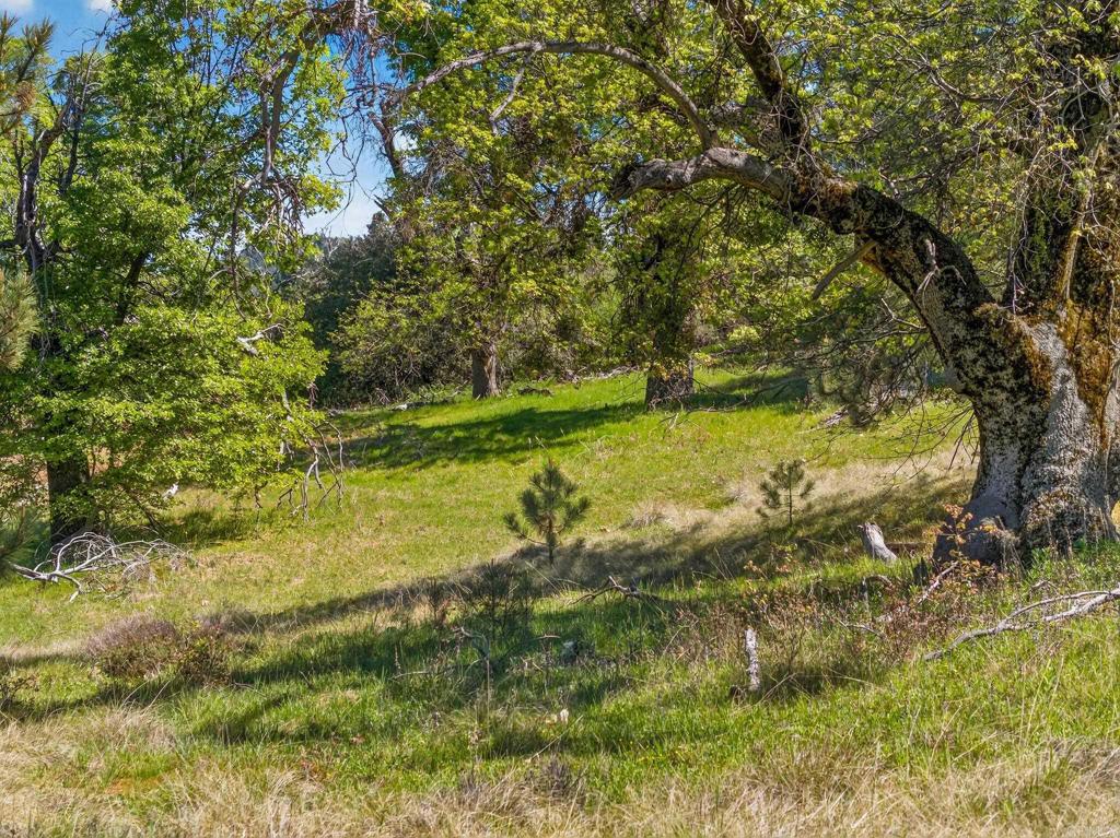 200 +/- Acres Palomar Divide Truck Trail Property Photo 25