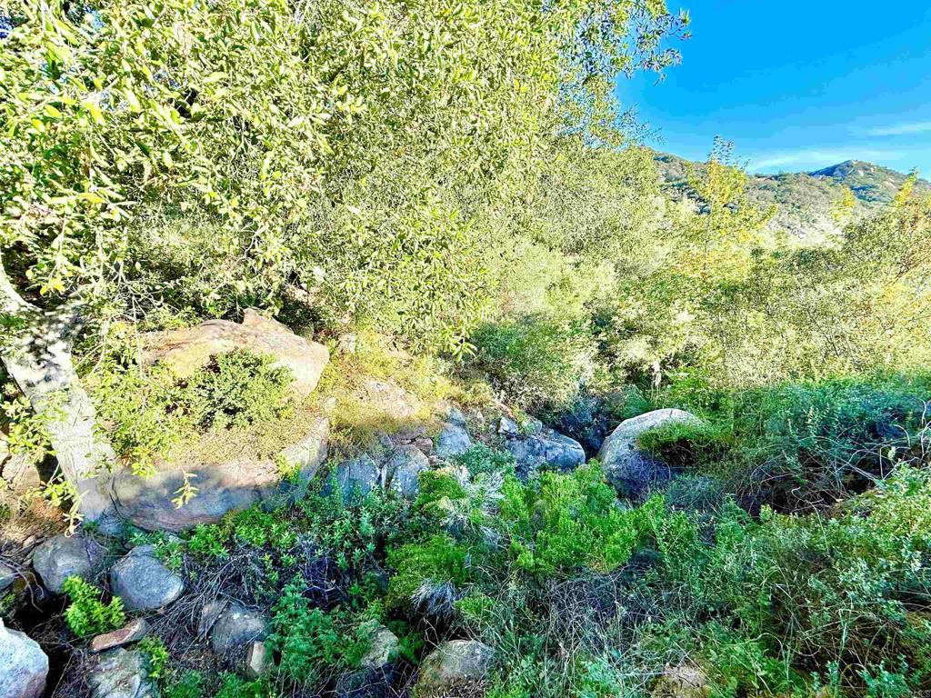 0 Mt Olympus Valley Road Property Photo 15