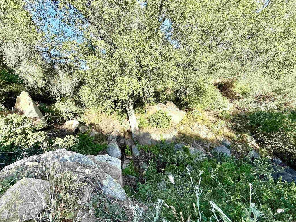 0 Mt Olympus Valley Road Property Photo 16
