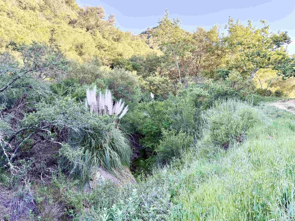 0 Mt Olympus Valley Road Property Photo 18
