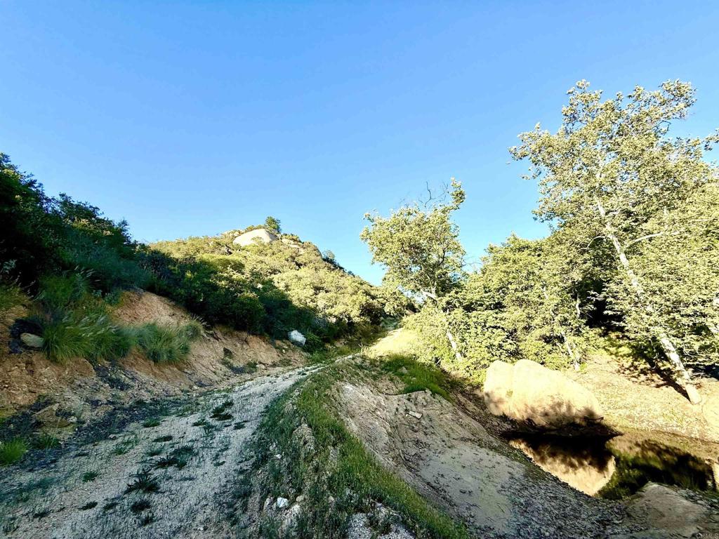 0 Mt Olympus Valley Road Property Photo 25