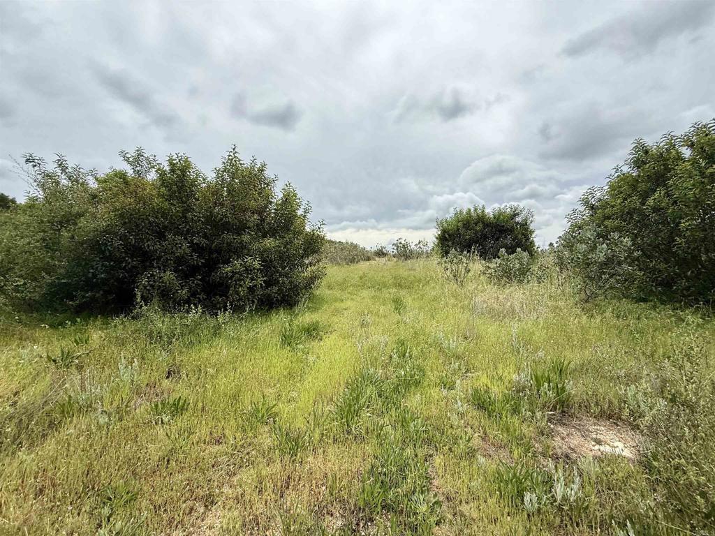 0 Mt Olympus Valley Road Property Photo 33