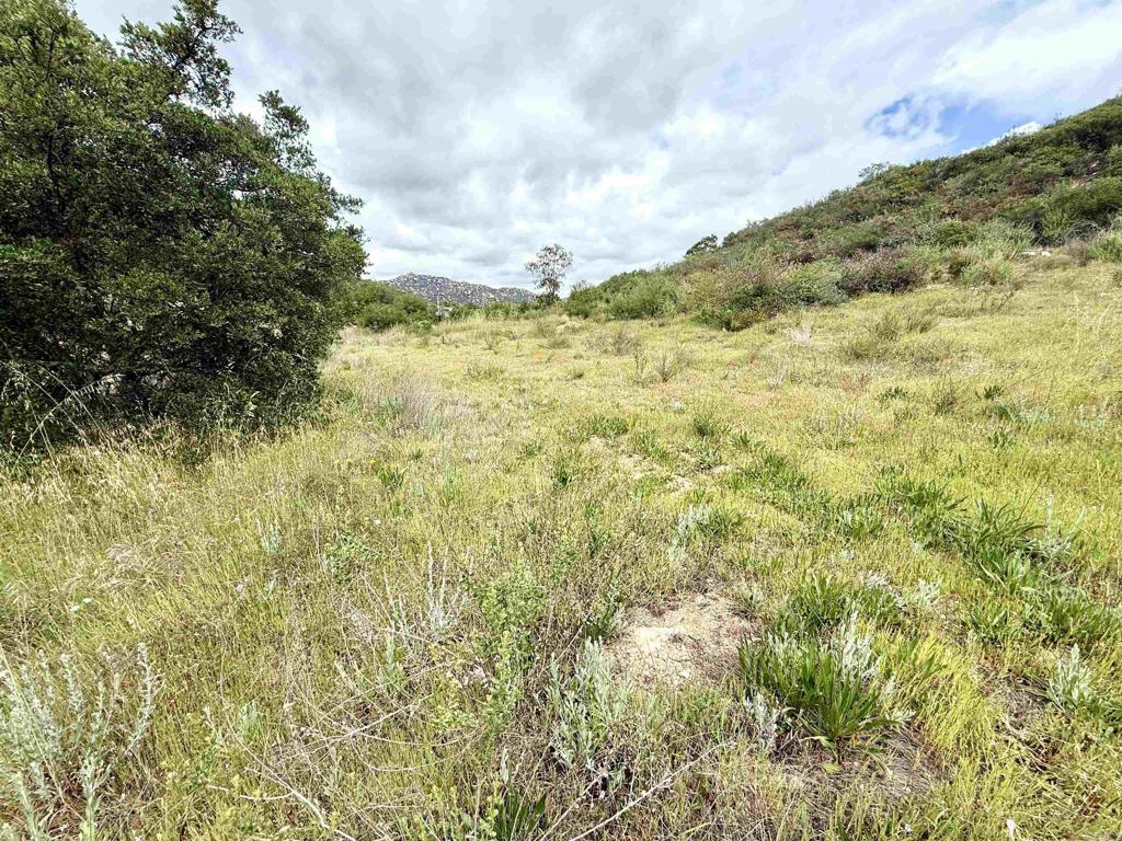 0 Mt Olympus Valley Road Property Photo 34