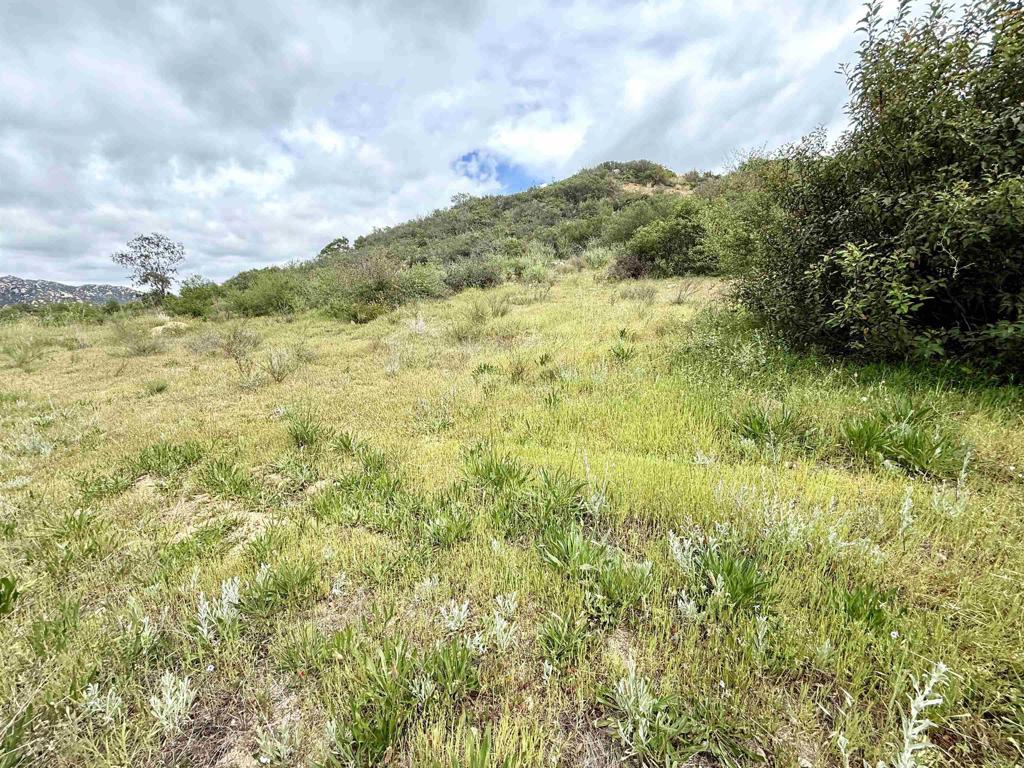 0 Mt Olympus Valley Road Property Photo 35
