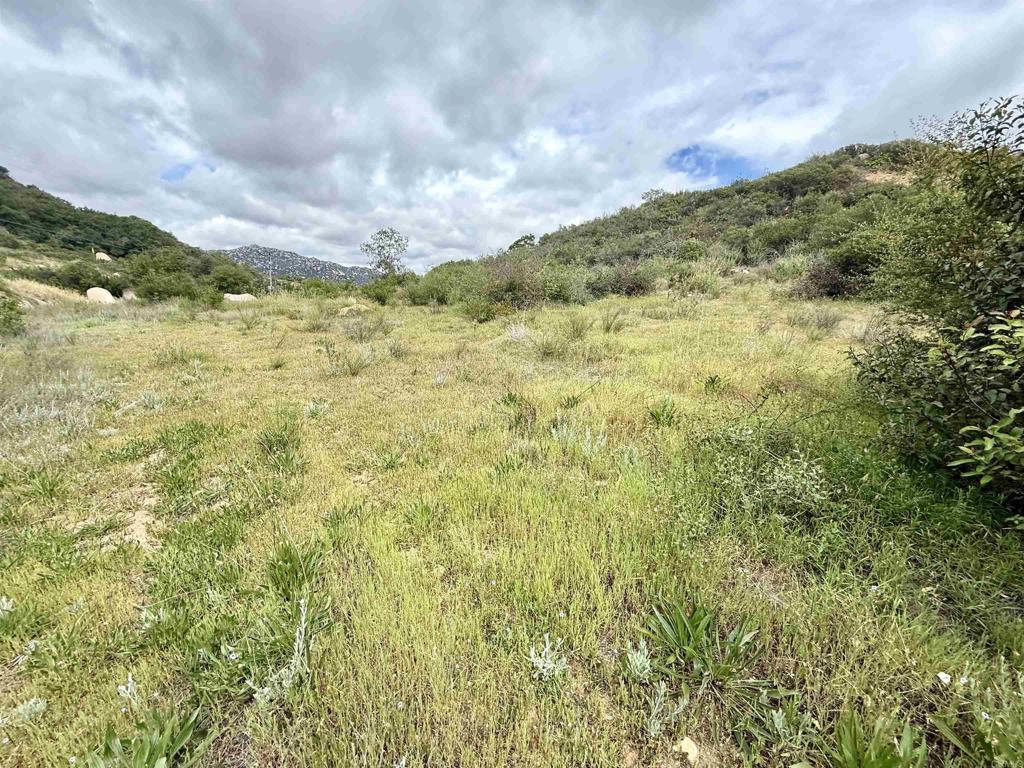 0 Mt Olympus Valley Road Property Photo 36