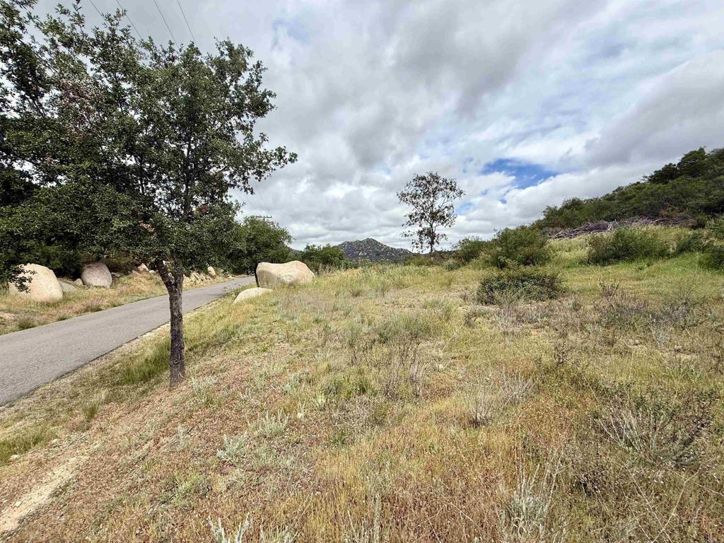 0 Mt Olympus Valley Road Property Photo 37