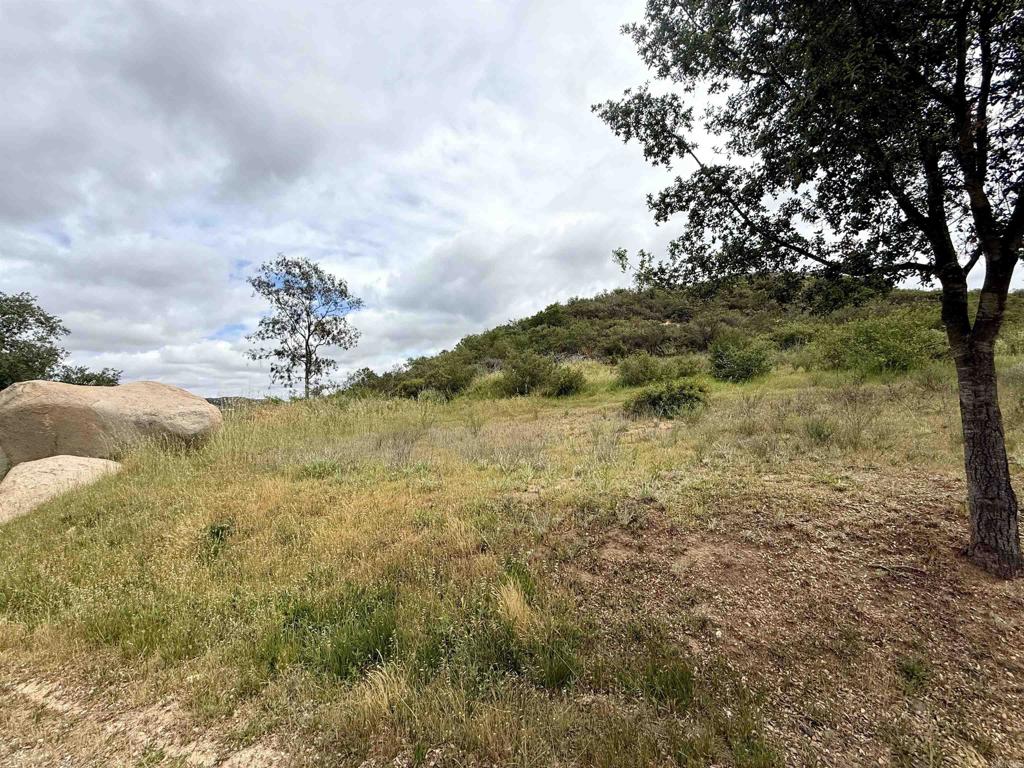 0 Mt Olympus Valley Road Property Photo 38