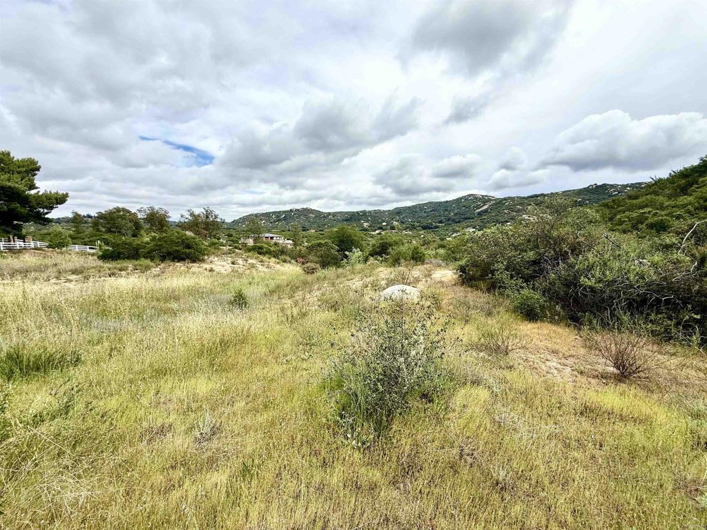 0 Mt Olympus Valley Road Property Photo 40