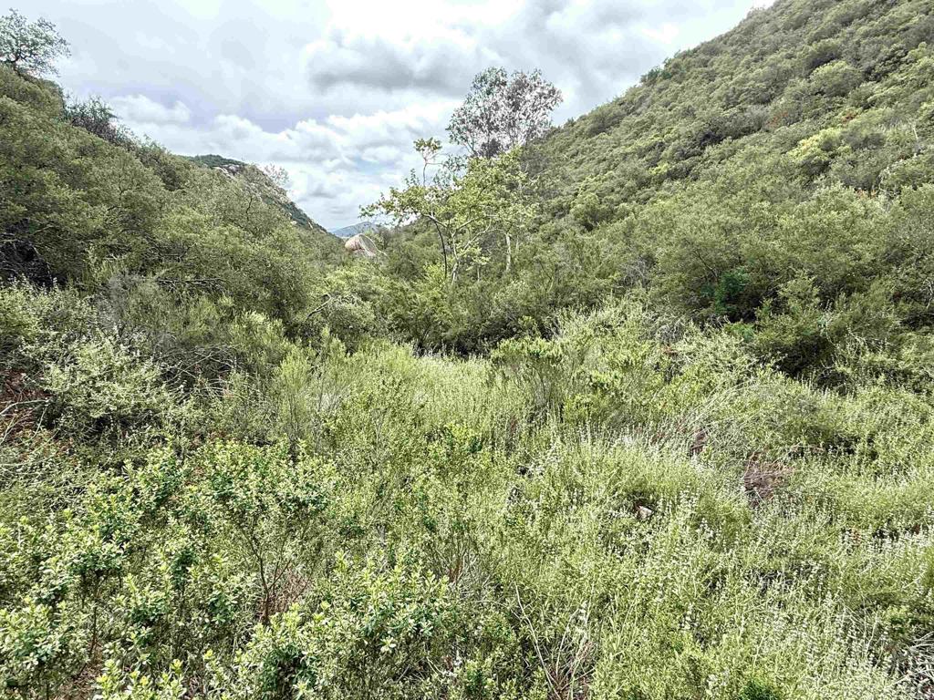 0 Mt Olympus Valley Road Property Photo 42