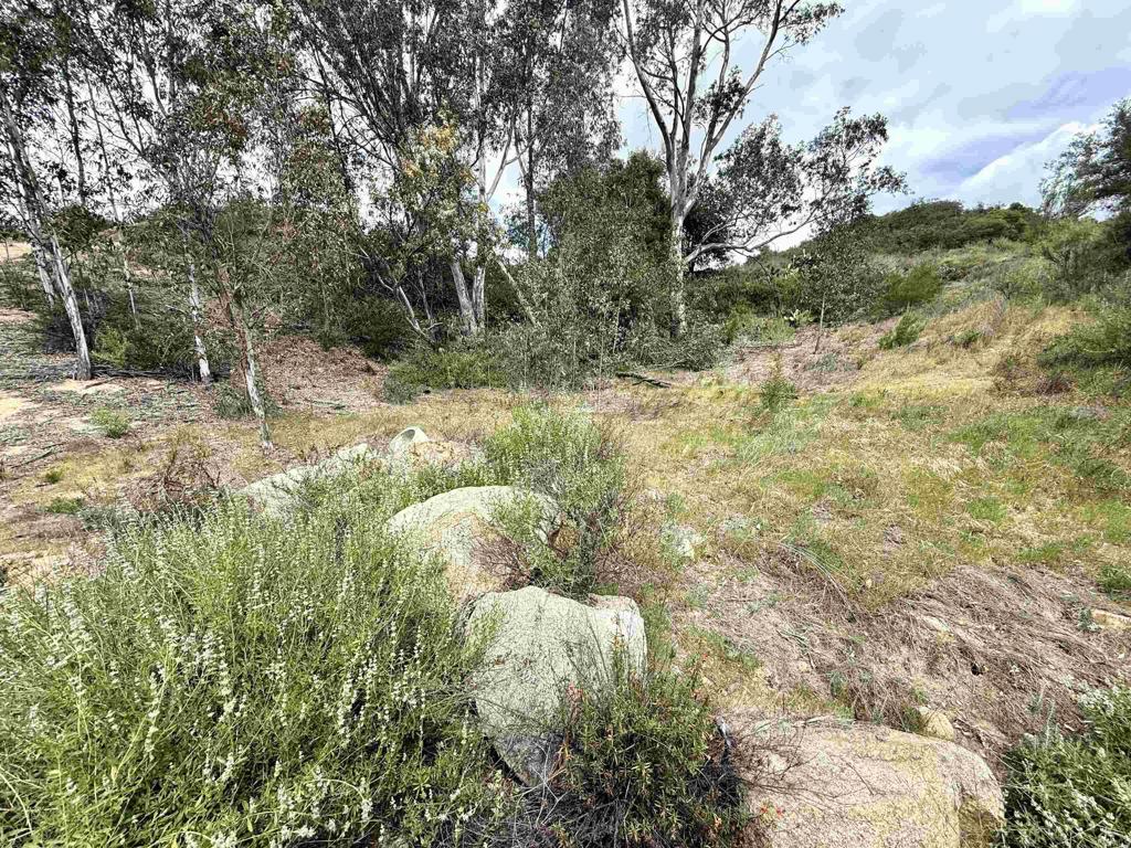 0 Mt Olympus Valley Road Property Photo 43
