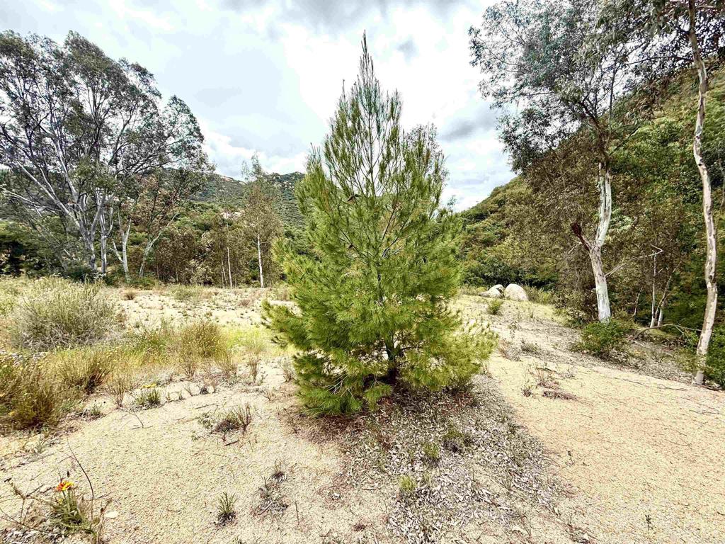 0 Mt Olympus Valley Road Property Photo 44