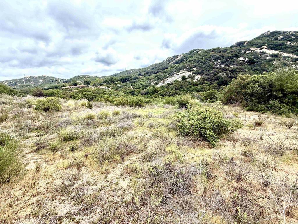 0 Mt Olympus Valley Road Property Photo 45