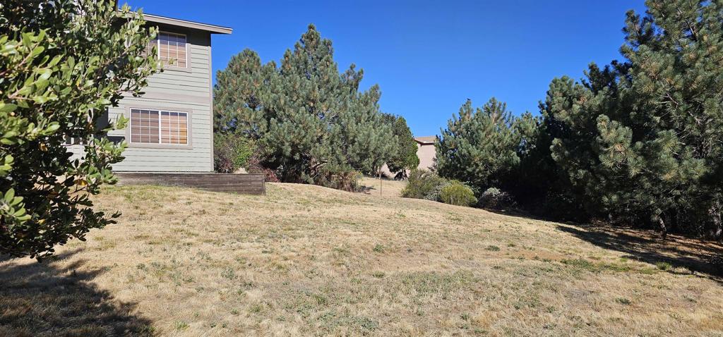 3691 Circle Drive Property Photo 45