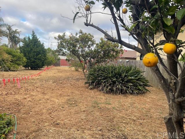 3328 Roosevelt Street Property Photo 3