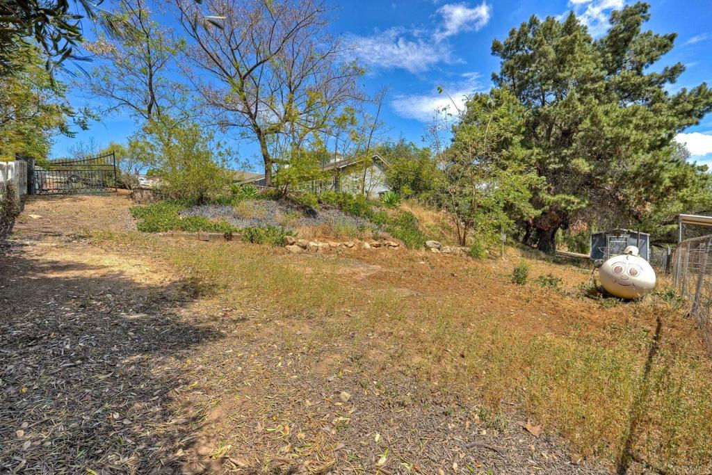 31503 Stardust Lane Property Photo 51