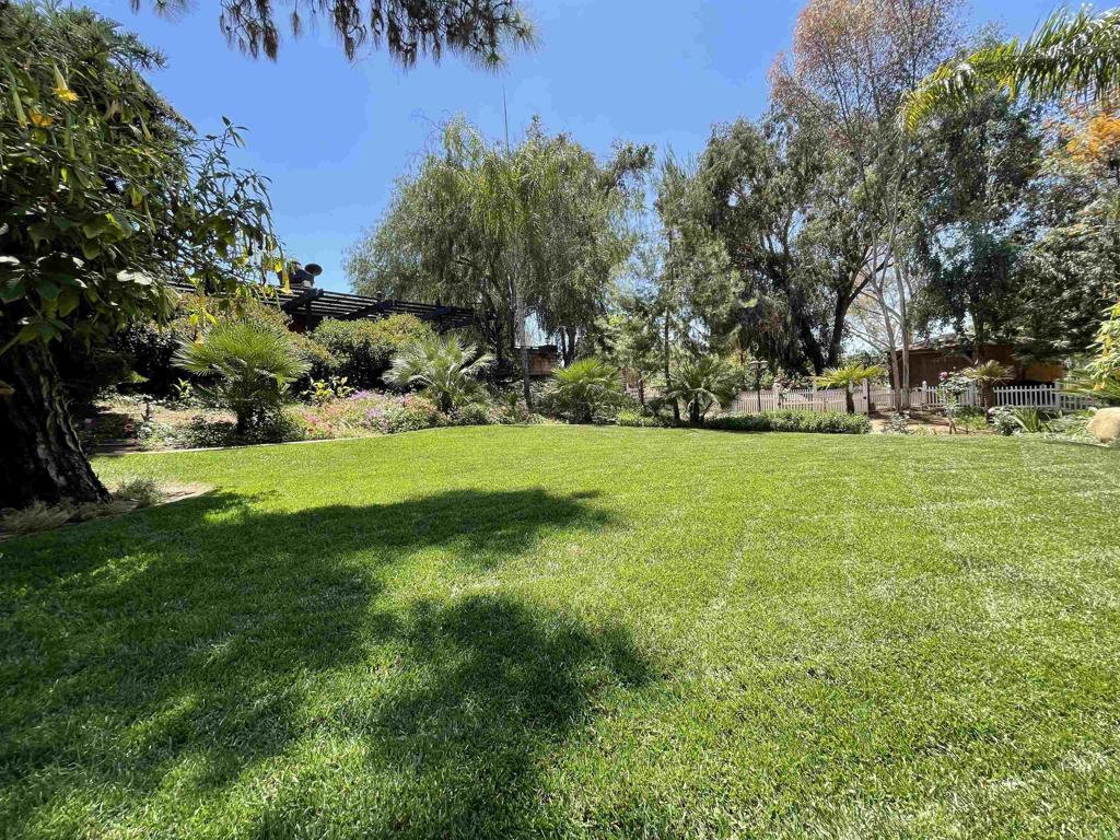 7063 Via Mariposa Norte Property Photo 51
