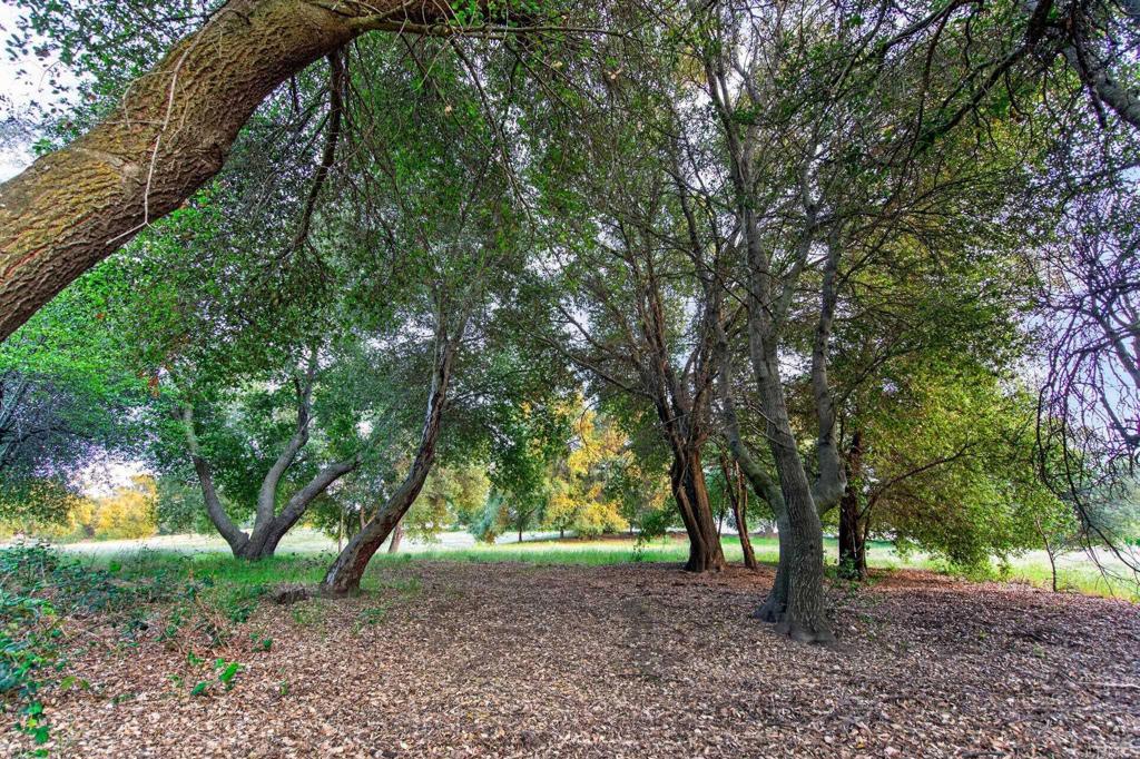 25350 Mesa Grande Road Property Photo 49