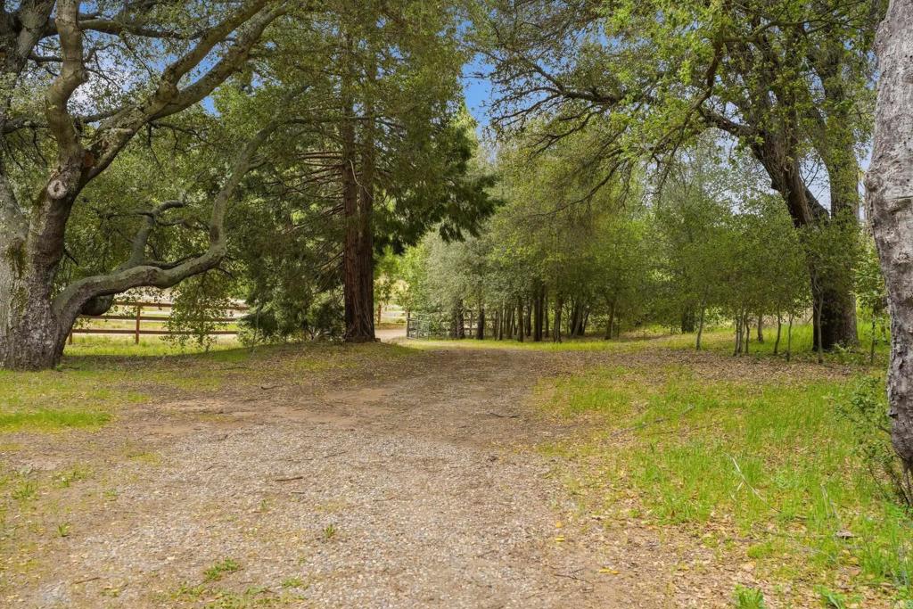 5867 Forest Meadow Road Property Photo 3