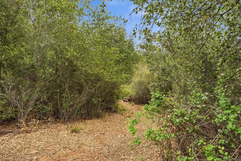 5867 Forest Meadow Road Property Photo 29