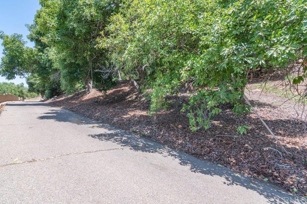 3137 E Valley Parkway Property Photo 19