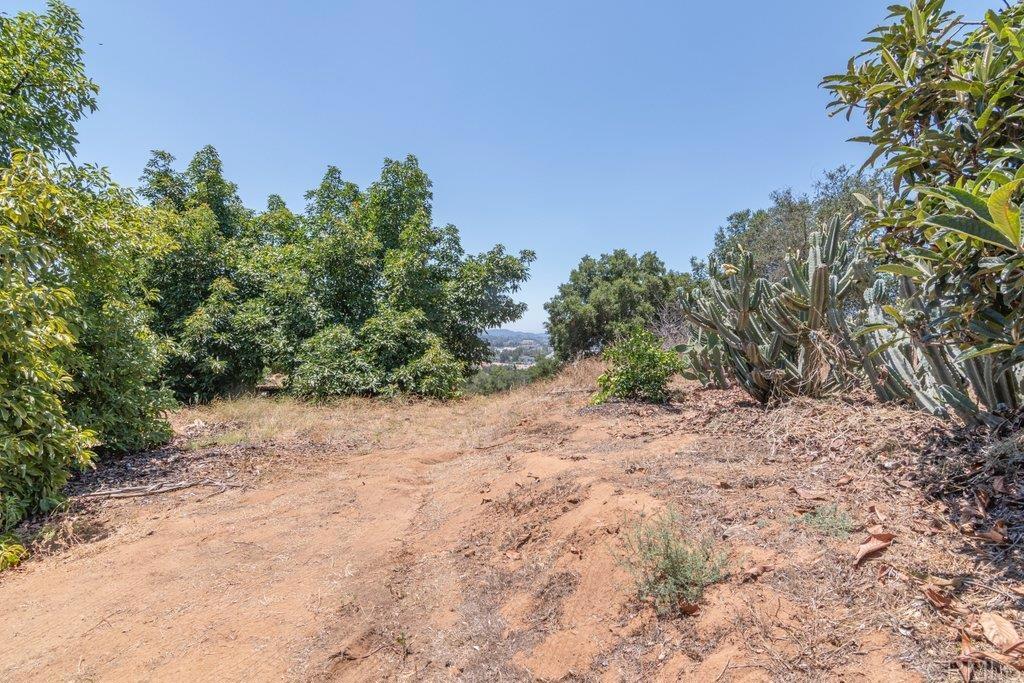 3137 E Valley Parkway Property Photo 43