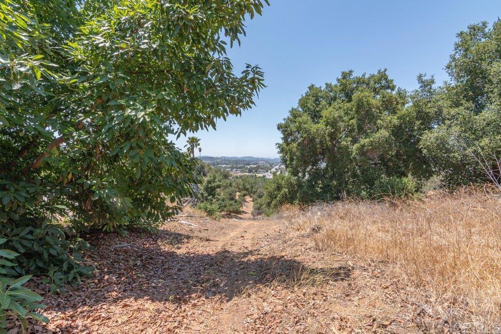 3137 E Valley Parkway Property Photo 44
