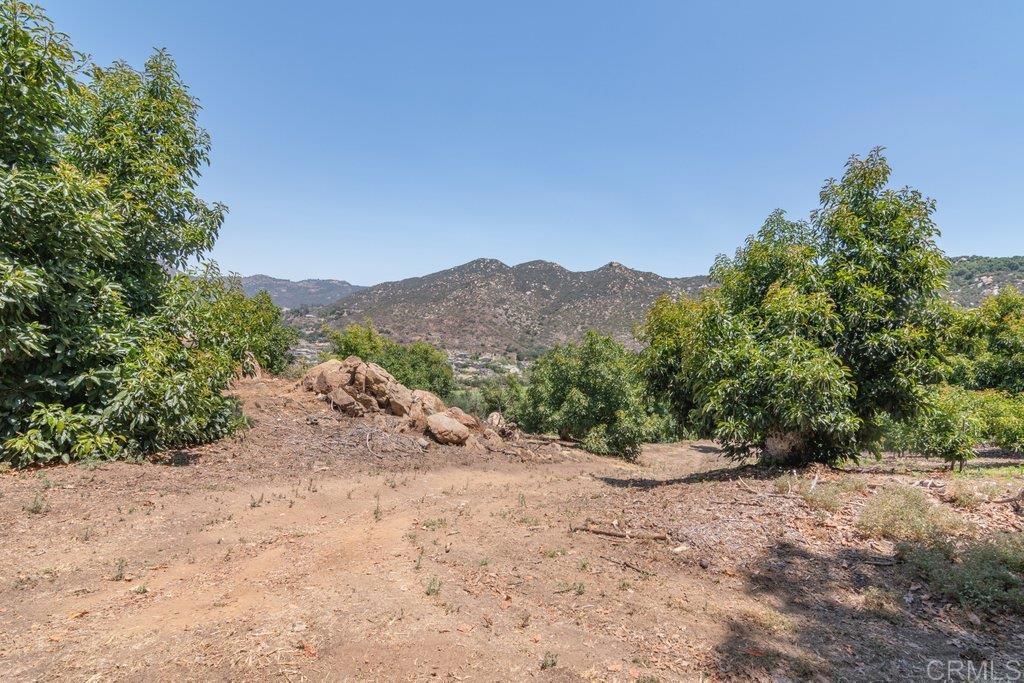 3137 E Valley Parkway Property Photo 45