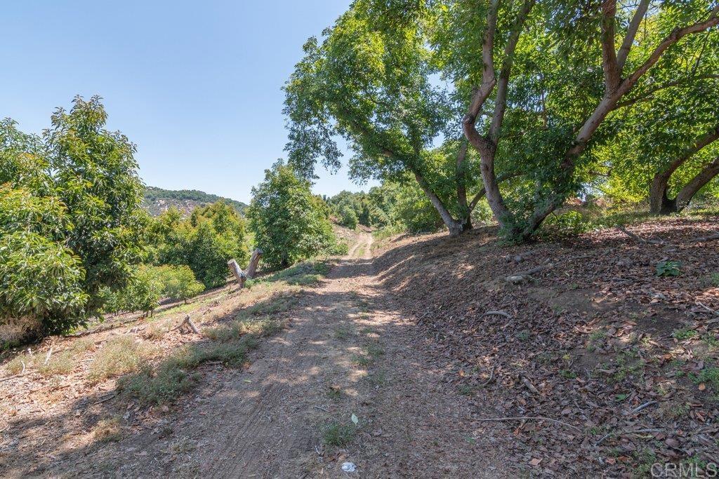 3137 E Valley Parkway Property Photo 46
